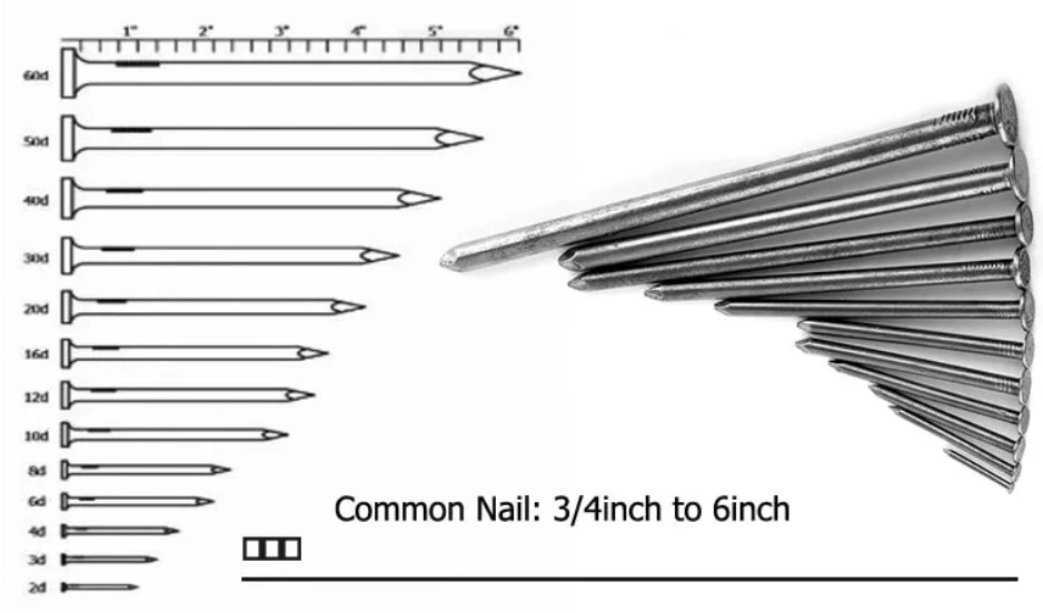 Common Wire Polish Wood Big Head Nails Fastener Hardware for Construction Materials